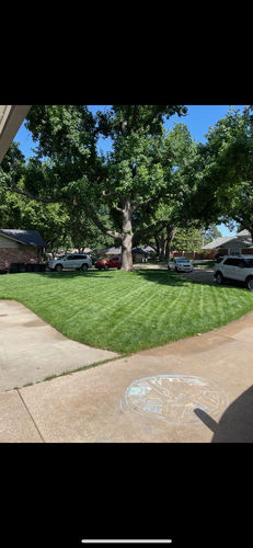 Customer photo review of GCI Turf Type Tall fescue Grass Seed