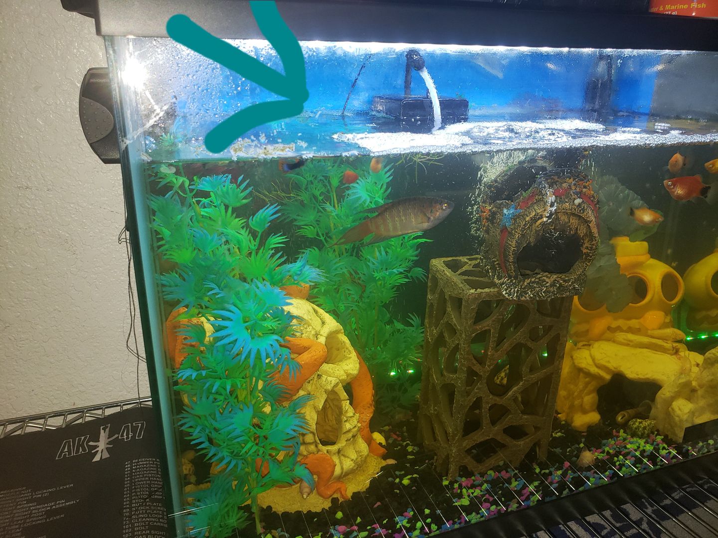 Customer photo review of Shark PRO
