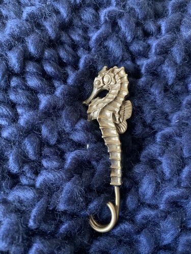 Customer photo review of Seahorse Pin Keychain