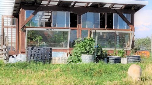 Customer photo review of 17” Tall Round (Twin Pack)