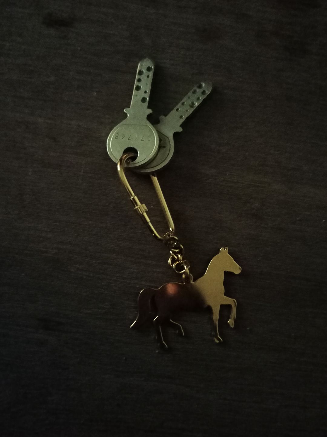 Customer photo review of Keychain Horse - Goldplated