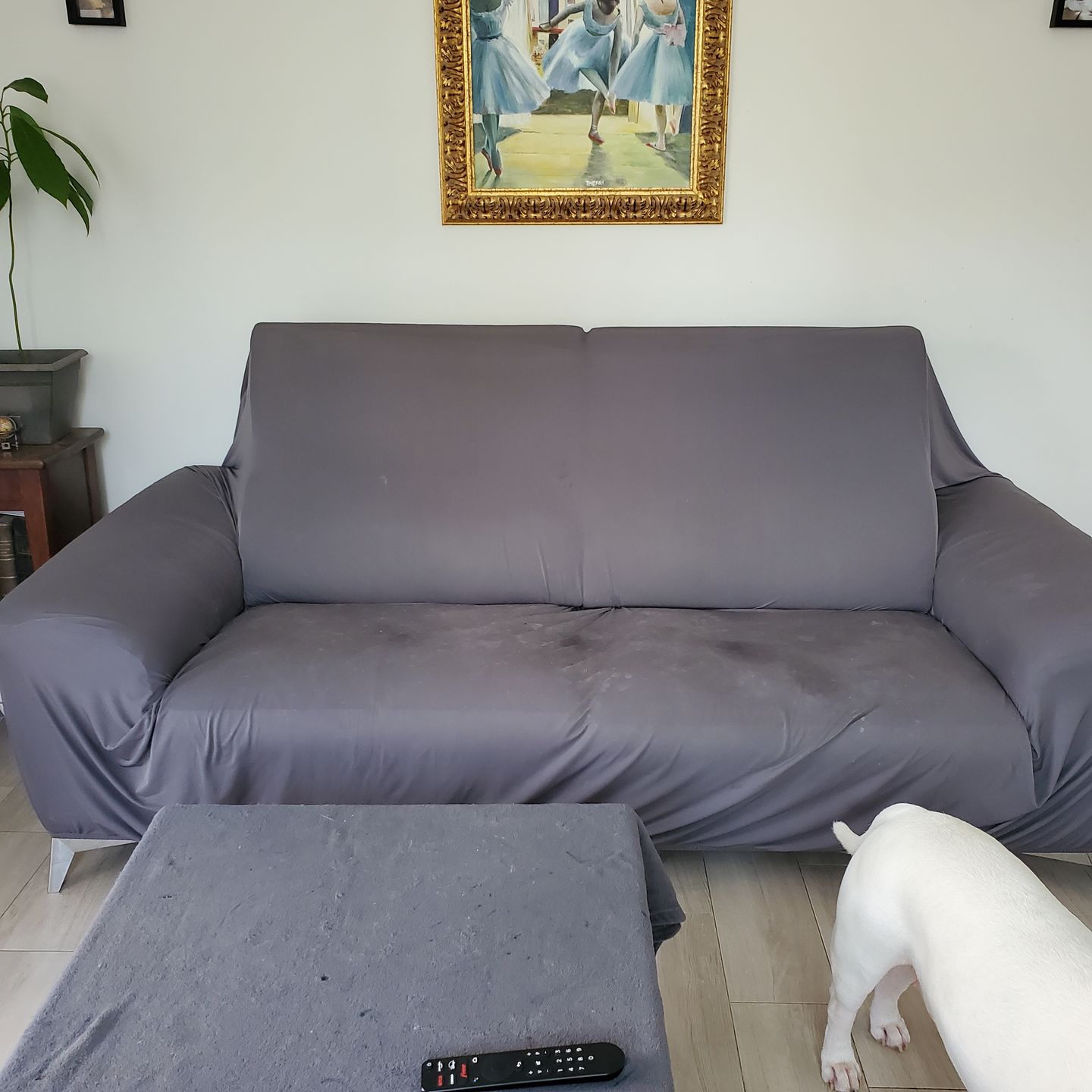 Customer photo review of Gris anthracite - Housses Extensibles de Fauteuil et Canapé
