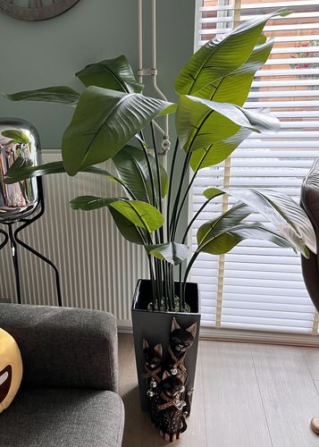 Customer photo review of Kunst Bananenplant Serie A 150cm