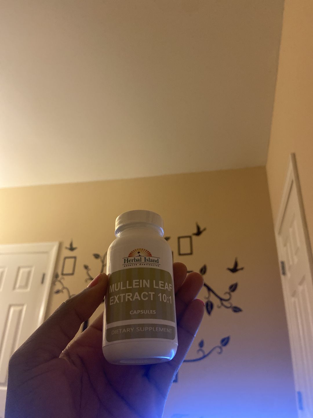 Customer photo review of Mullein Leaf Capsule (Lung Detox Mucus)