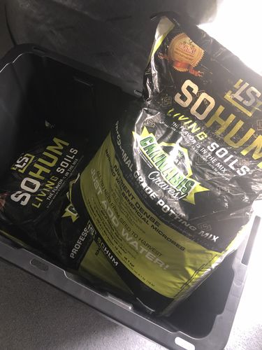 Customer photo review of Sohum Soil Organic Living Soil Just Add Water 1.5 cu ft