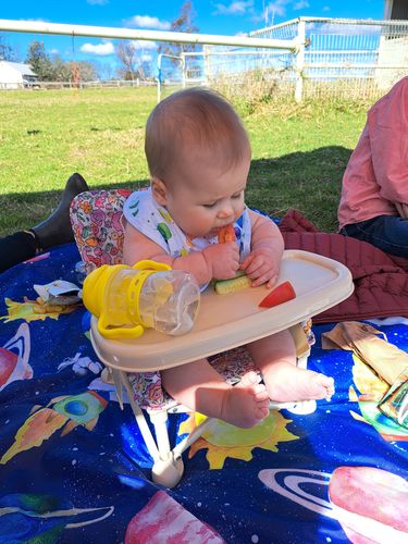 Customer photo review of Paloma baby chair v2