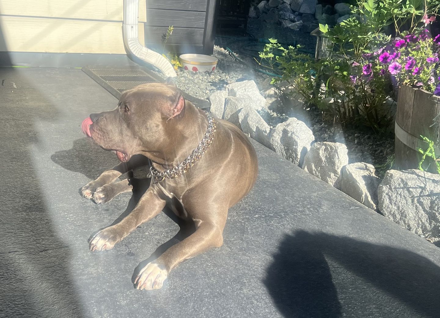 Customer photo review of THE ROLLA