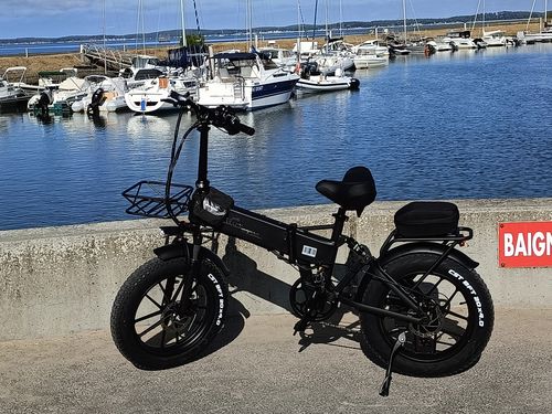Customer photo review of CMACEWHEEL RX20 750W 20" Fat Bike Foldable E-Mountain Bike 15Ah 45km/h 110km