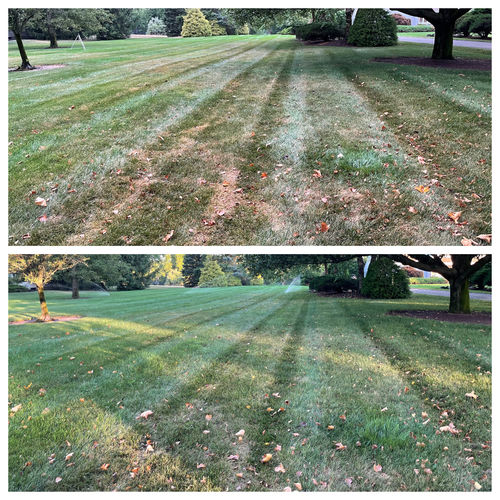 Customer photo review of N-Ext Humic12