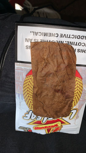 Customer photo review of Russian Cream LooseLeaf (40 Count)