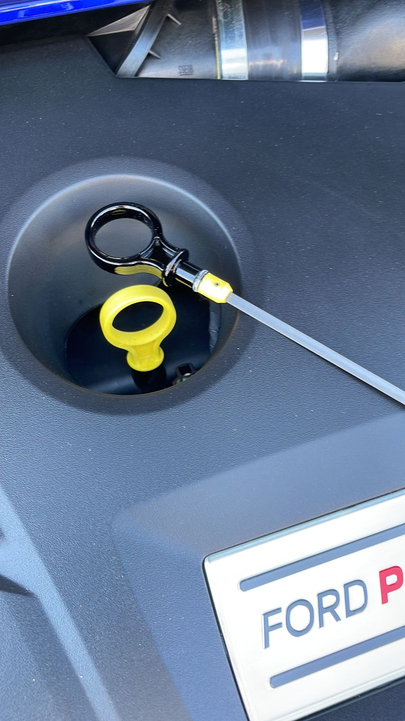 Customer photo review of Dipstick - Focus MK3/3.5 Petrol ST/ RS