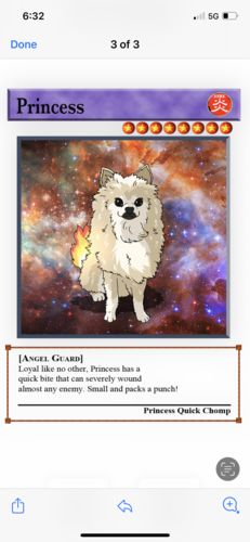 Customer photo review of Number of Pokepets and Trainers