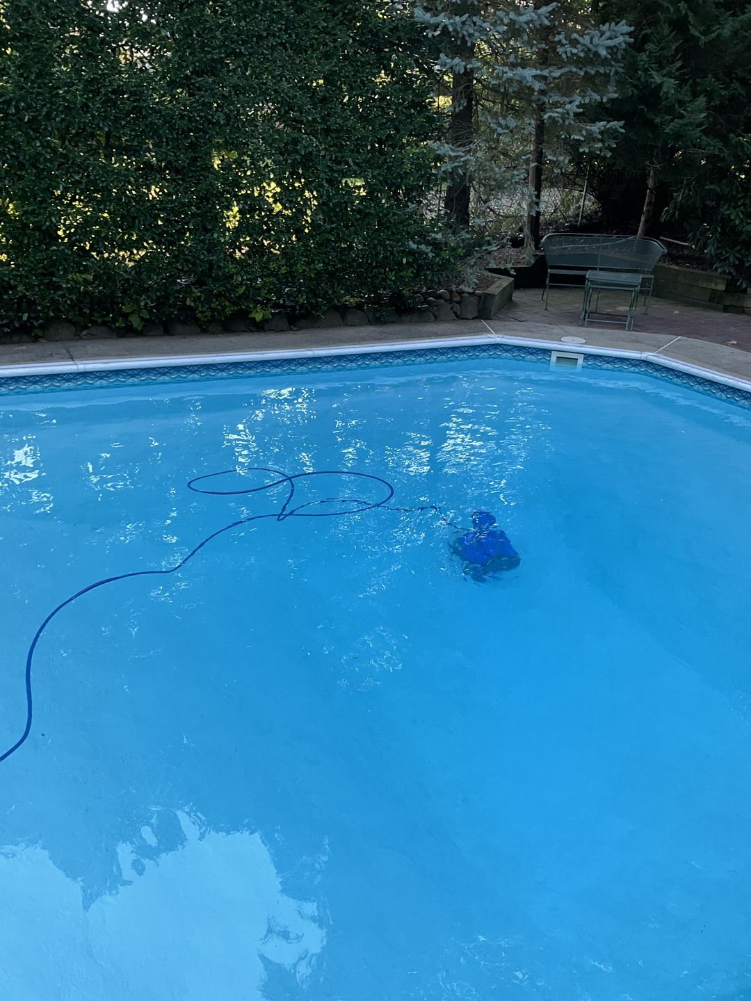 Customer photo review of Maytronics Dolphin M400 Robotic Pool Cleaner