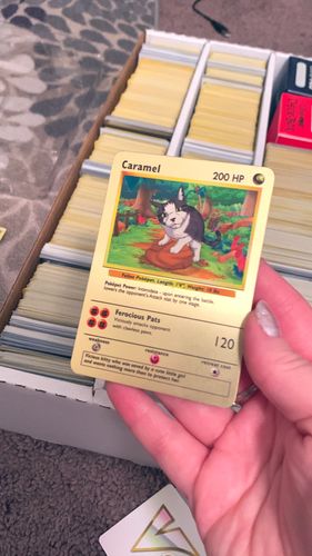 Customer photo review of Pokepet