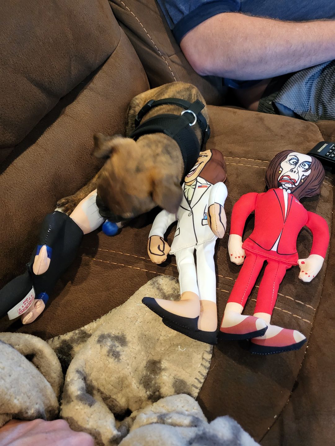 Customer photo review of Joe Biden Kamala Harris & Nancy Pelosi Starter Pack Tough Plush Dog Chew Toys with Squeakers - Official Republican Dogs