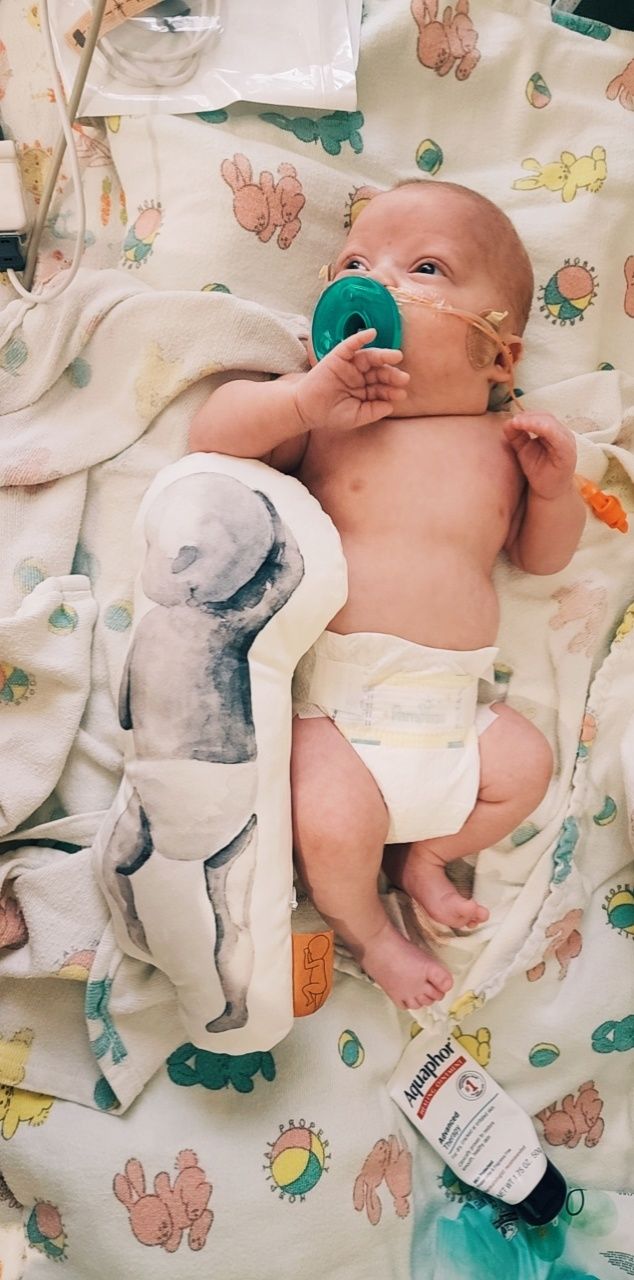 Customer photo review of Birth Pillow Watercolor Two