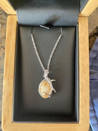 Customer photo review of Wind River Elk Ivory Sterling Silver Pendant