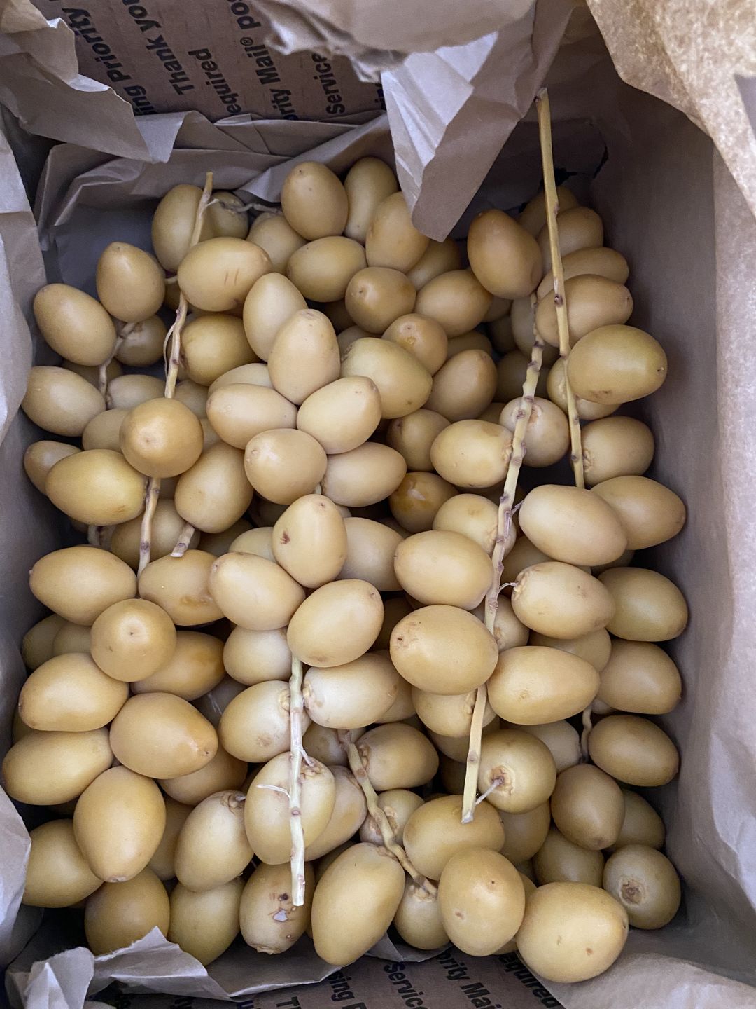 Customer photo review of Mix & Match Date Varieties (2-Pack)