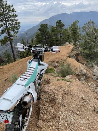 Customer photo review of Gripper Seat Cover