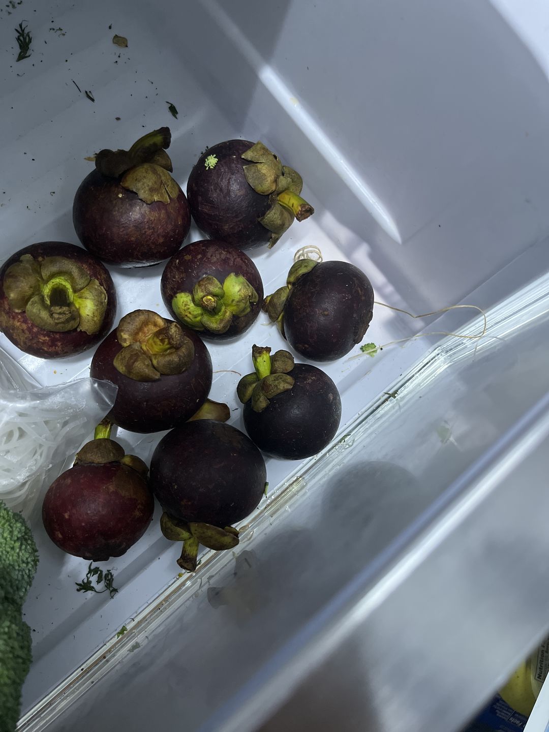 Customer photo review of Mangosteen Box