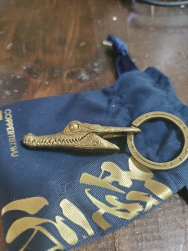 Customer photo review of Brass Crocodile Clip