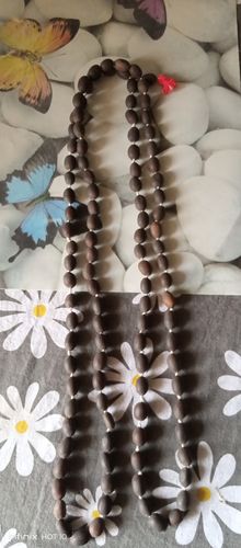 Customer photo review of 108 Lotus Seeds Maalai - Orginal Kamal Gatta Maala