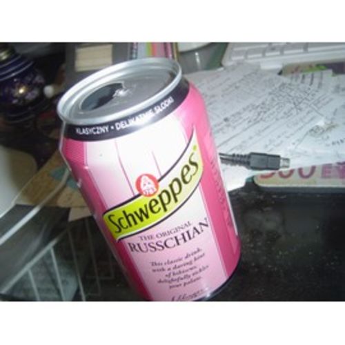 Customer photo review of Schweppes Russchian