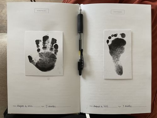 Customer photo review of Adoption History - Sand