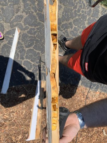 Customer photo review of Imidacloprid 2F