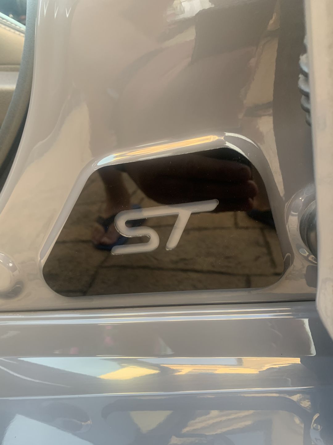 Customer photo review of Mk3.5 Focus RS / ST Door Sill Plates
