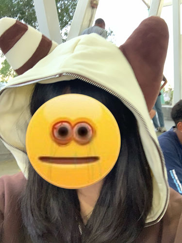 Customer photo review of Bunny Hoodie With Plush Ears (CREAM/BROWN)