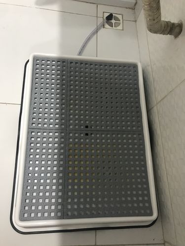 Customer photo review of Weasy Cão