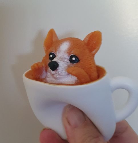 Customer photo review of Pup In A Cup