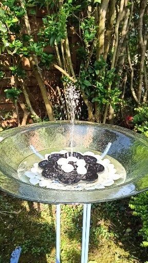 Customer photo review of Mini Fontaine à Eau