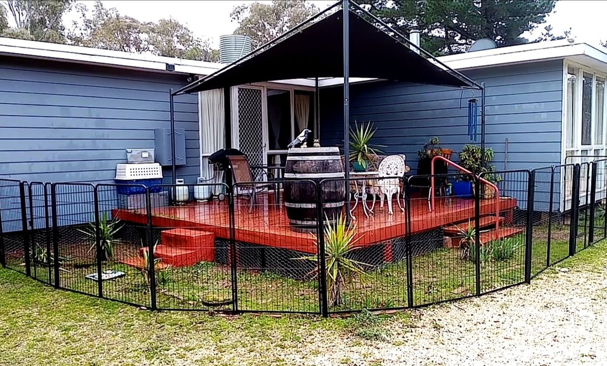 Customer photo review of PaWz 8 Panel Pet Dog Playpen
