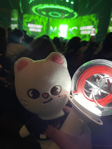 Customer photo review of Official Stray Kids SKZOO Plush (Original Ver)