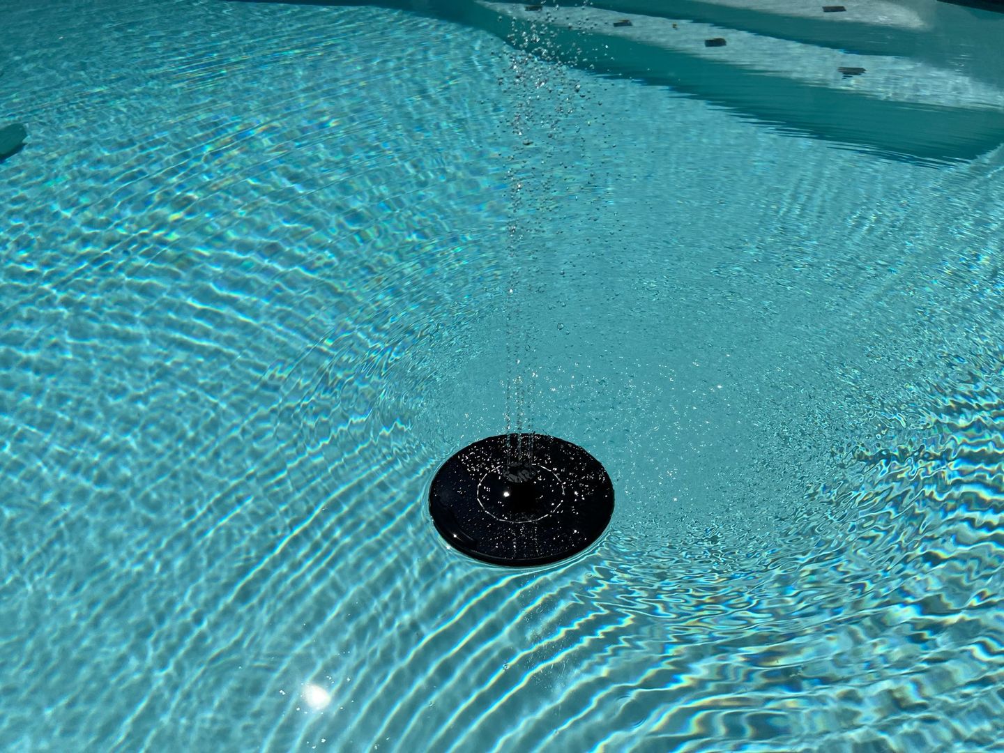 Customer photo review of Mini Fontaine à Eau