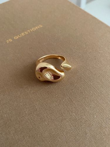 Customer photo review of VOID