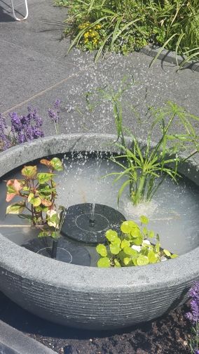Customer photo review of Mini Fontaine à Eau