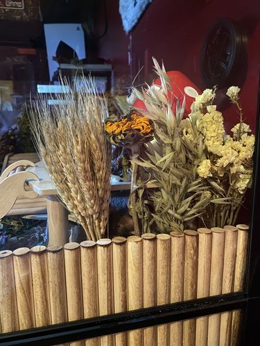 Customer photo review of Niteangel harvest wind dried flowers and sprays for hamsters gerbils mice and other small animals
