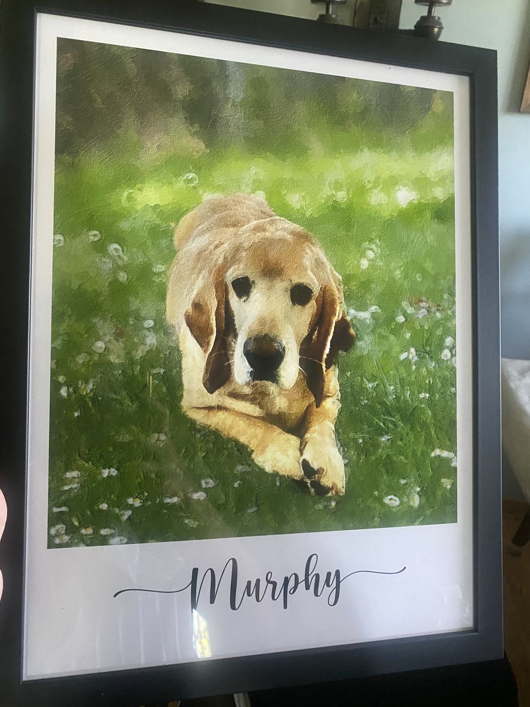 Customer photo review of Custom Pet Portrait