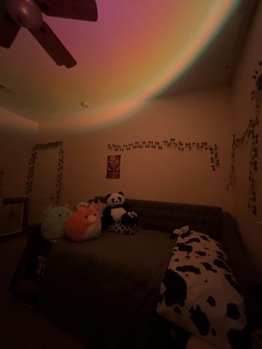 Customer photo review of The Sunset Lamp™
