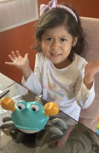 Customer photo review of VUSHOO - Jouet Mr Crab Joy rechargeable