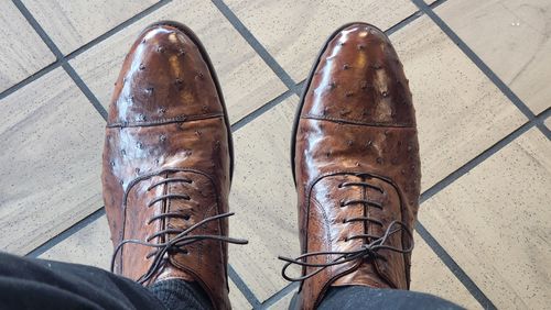 Customer photo review of Oxford Ostrich