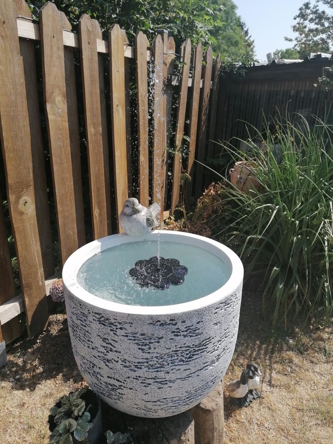 Customer photo review of Mini Fontaine à Eau