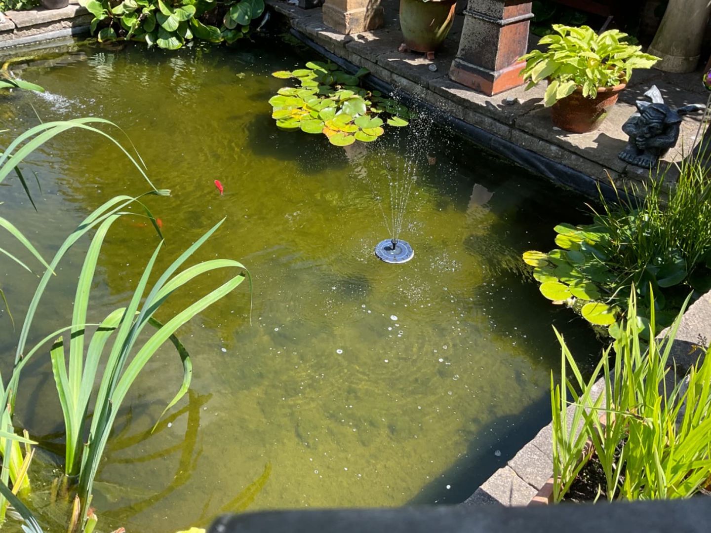 Customer photo review of Mini Fontaine à Eau