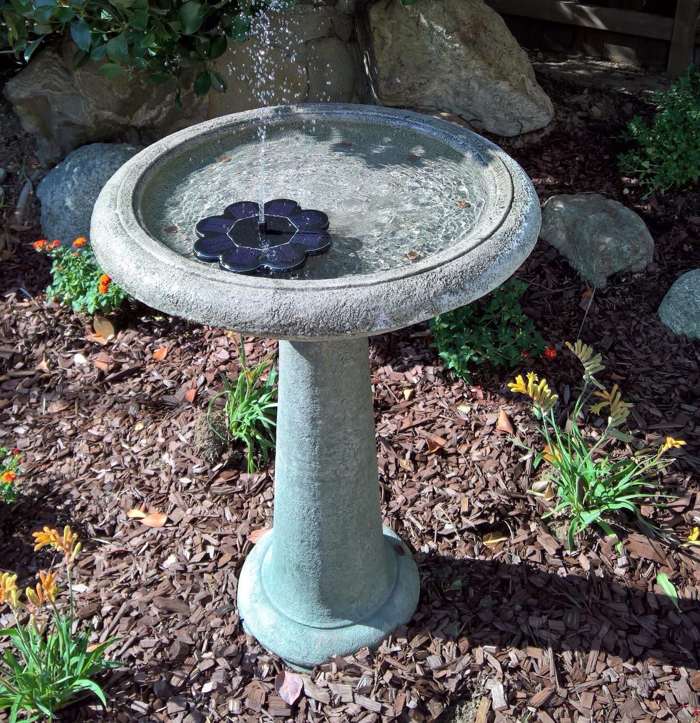 Customer photo review of Mini Fontaine à Eau