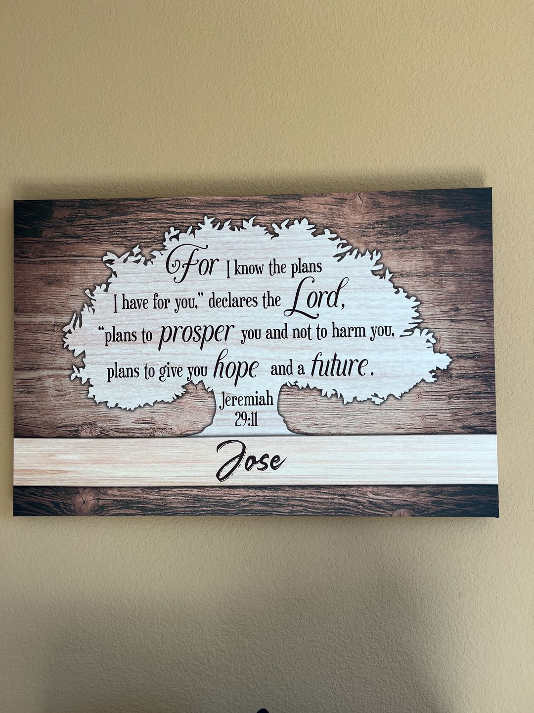 Customer photo review of For I know the plans I have for you Jeremiah 29:11 personalized name wall art canvas