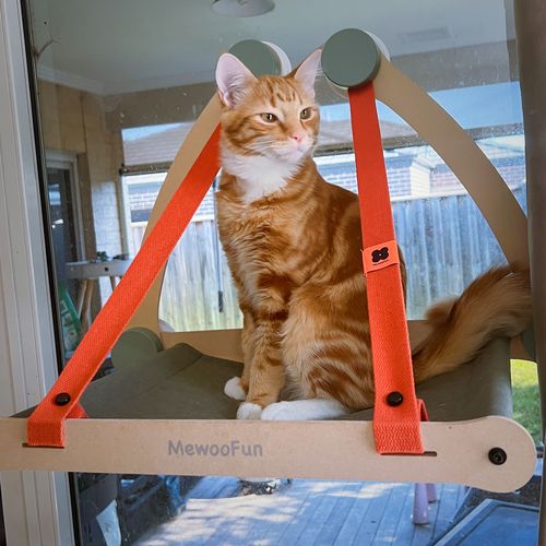Customer photo review of Supermarcat Sturdy Cat Window Perch Hammock
