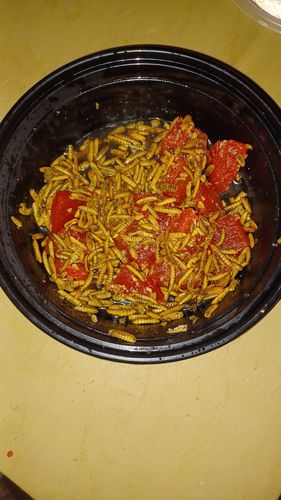 Customer photo review of GrubTerra Dried Black Soldier Fly Larvae